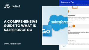 A Comprehensive Guide to What is Salesforce Go 