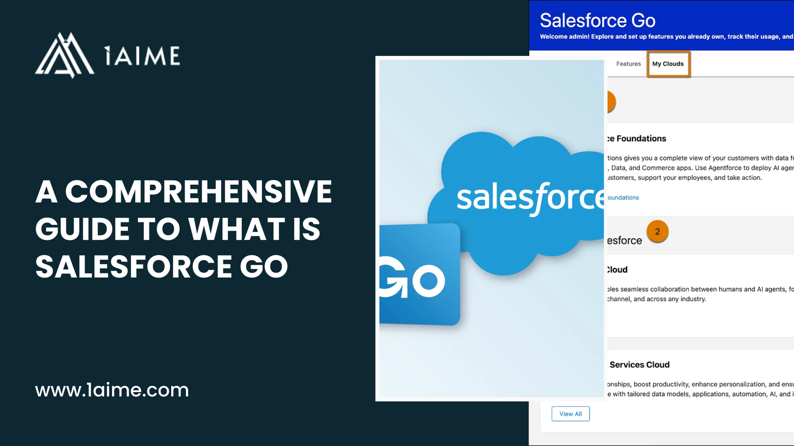 A Comprehensive Guide to What is Salesforce Go 